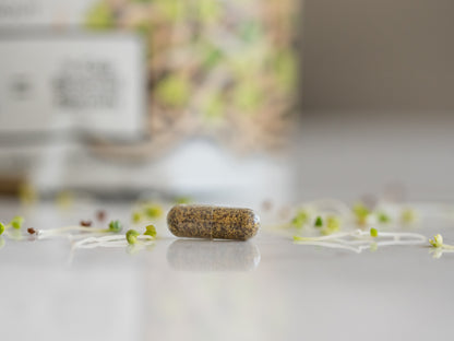 broccoli sprout capsule