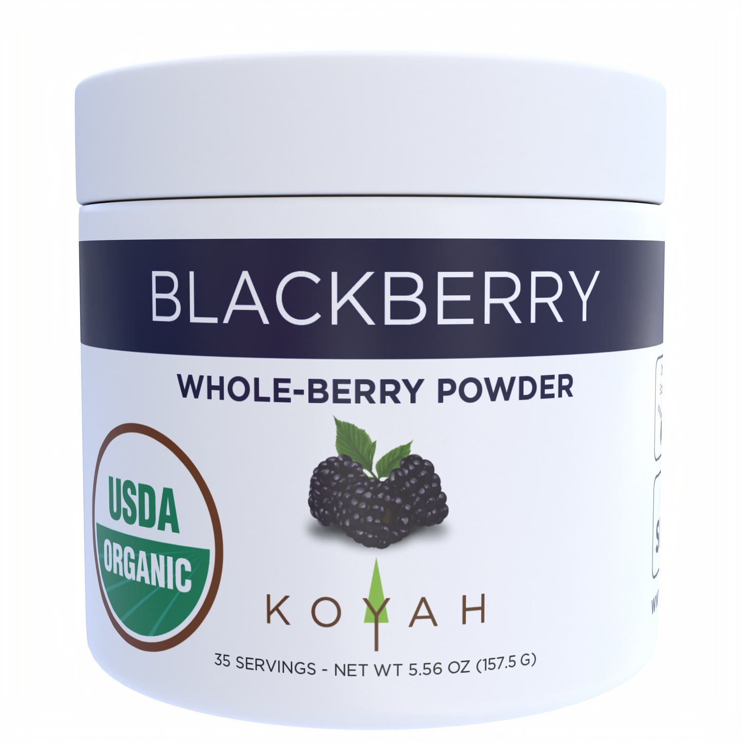 organic blackberry powder