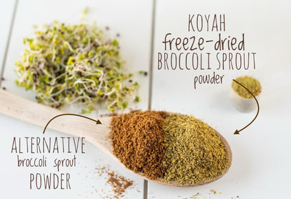 Organic Broccoli Sprout Powder