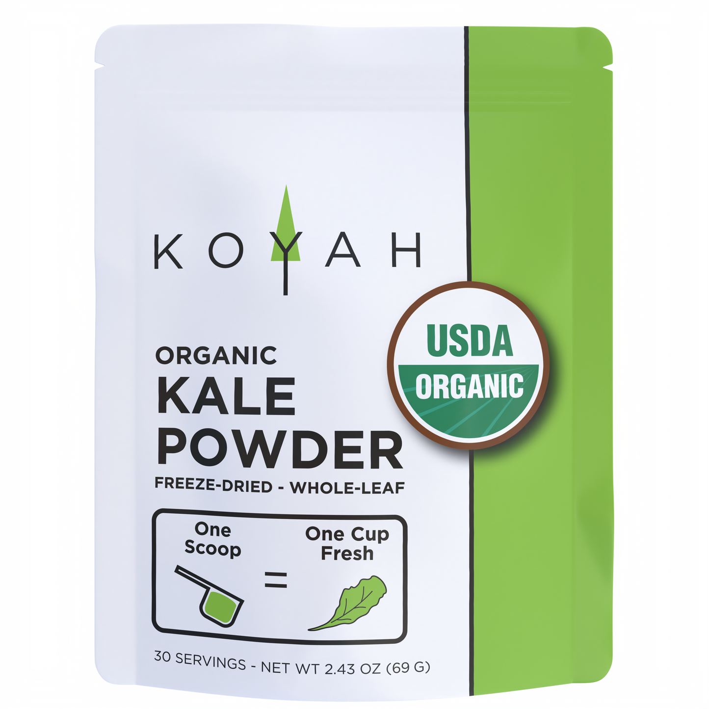 organic kale powder