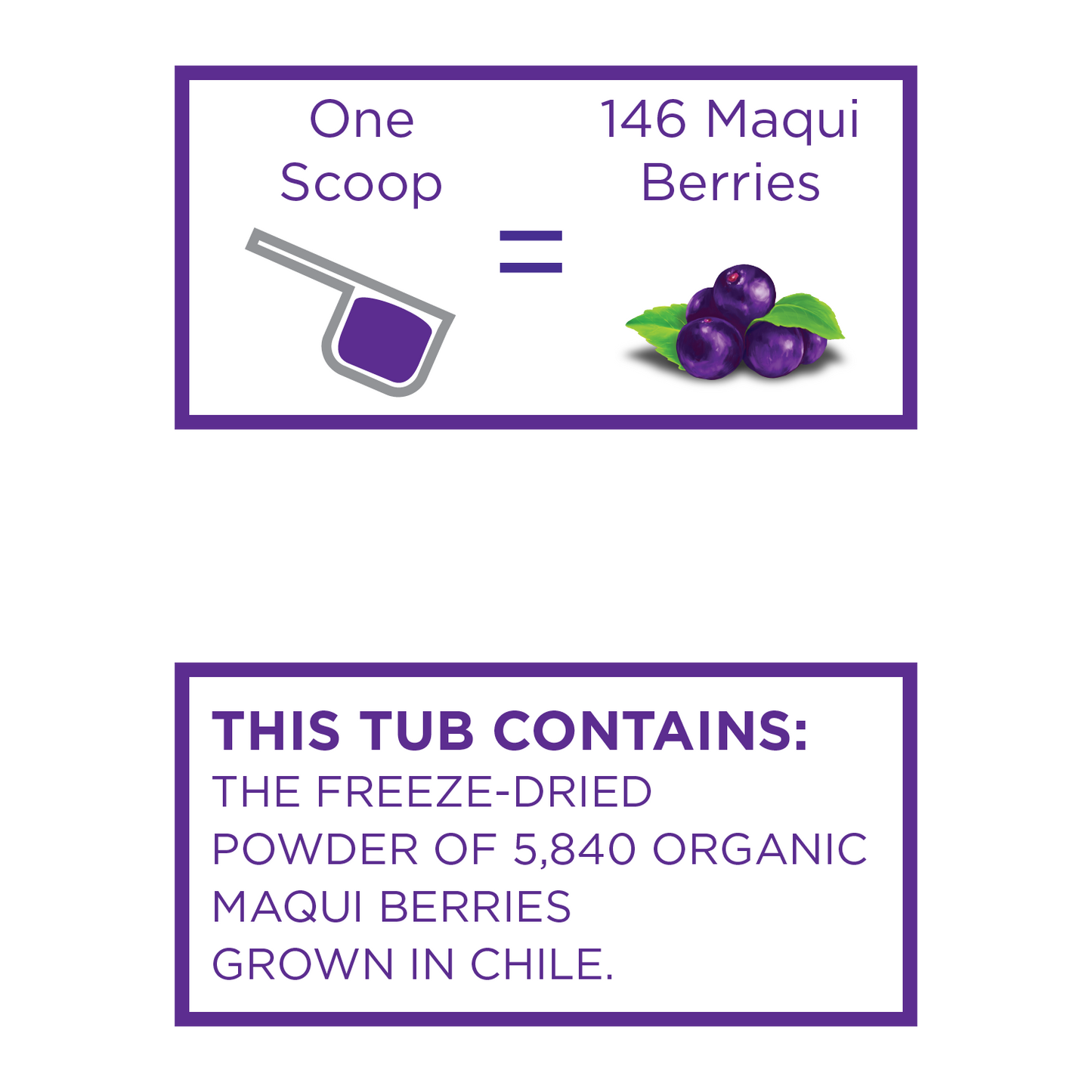 organic maqui powder 1 scoop = 146 maqui berries