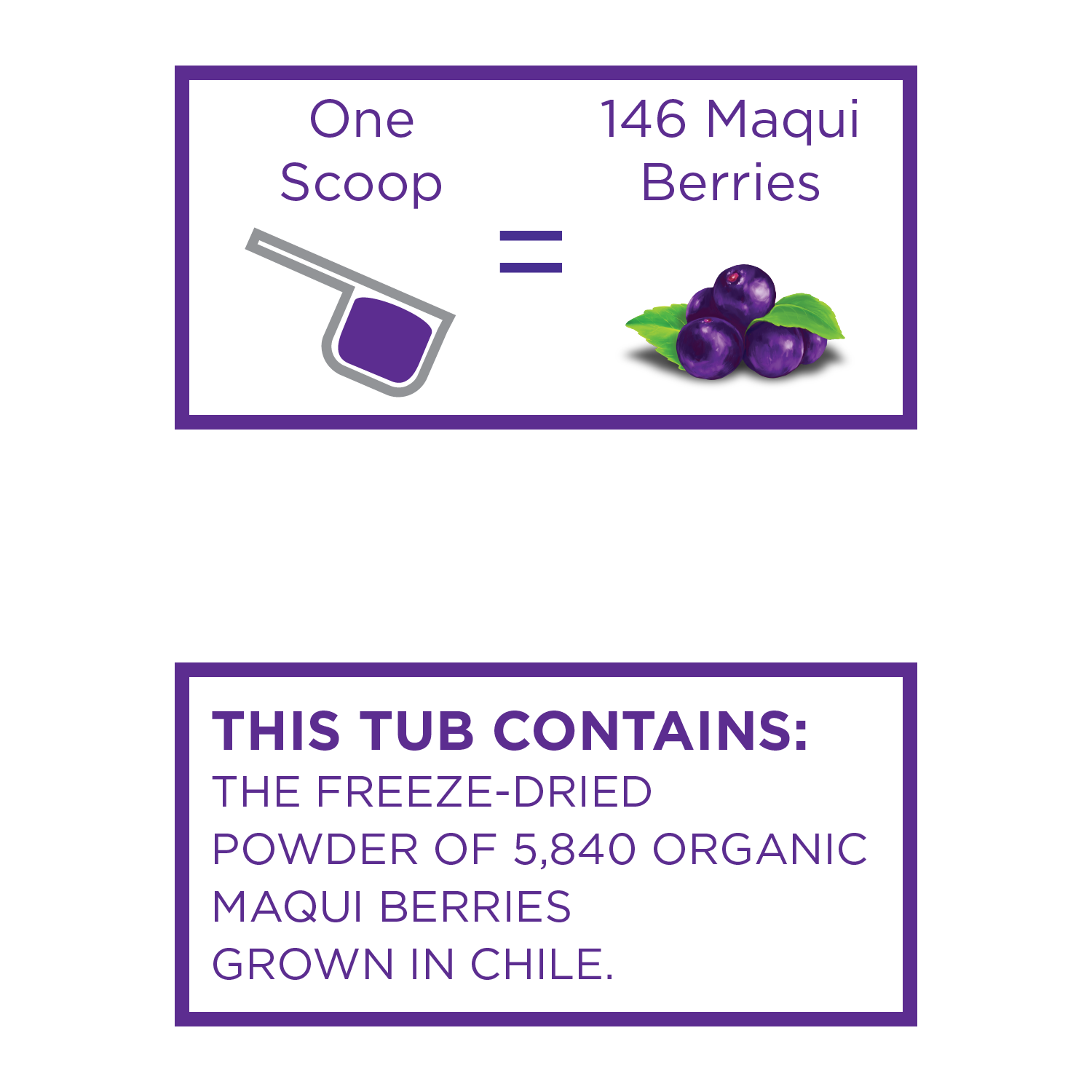 organic maqui powder 1 scoop = 146 maqui berries