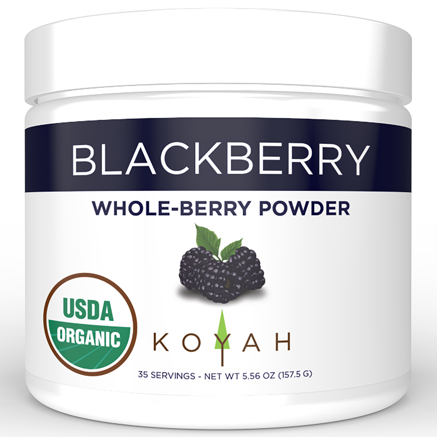 organic blackberry powder